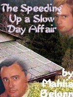 Bookcover for the fic 'The Speeding Up a Slow Day Affair'.