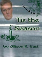 bookcover for the fic Tis the Season.