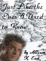 Bookcover for the fic 'Just Like the Ones I Used to Know'.