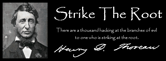Strike the Root is an Anarchist/libertarian site. I hang here too.