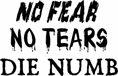 No Tears, No Fears