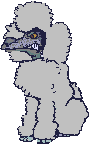 Poodle