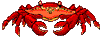 Crab