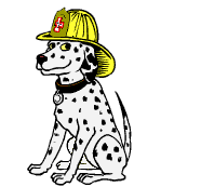 Dalmation