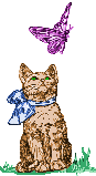 Butterfly Cat