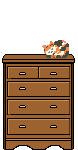 Dresser Cat