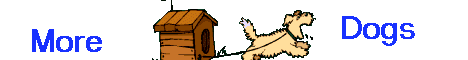 More Dogs