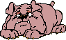 Pink Bulldog