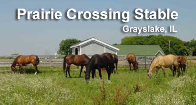 The beautiful pastures of Prairie Crossing Stable