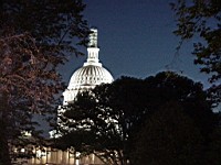 US2002_009_Capitol_throughTrees.jpg