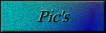 Pic's