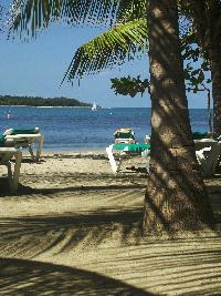 Just another beach shot. Photograph by Sean Creech (c) 2004