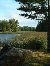 Muskan Lake, early morning, late summer. Photograph (c) Sean Creech 2003