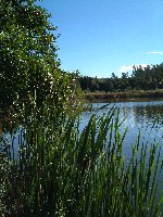 Muskan Lake September 2002. Photograph by Sean Creech (c) 2002