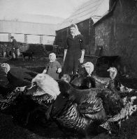 Rosina, and Dorrie, at Awsland with Turkeys