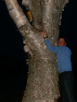 Even Nature Loves Her