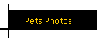 Pets Photos