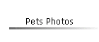 Pets Photos