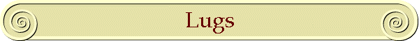 Lugs