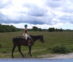 Storm clouds on Matley Heath, New Forest