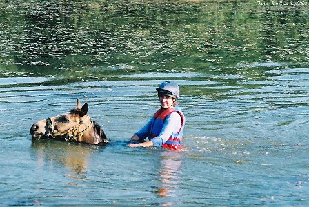 A client swimming a horse in the Applemore Lake