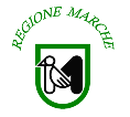 MARCHE