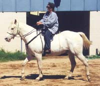Under Saddle