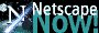 Netscape Now! banner logo (1kb)