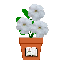 The Site Fights Spirit Flowers