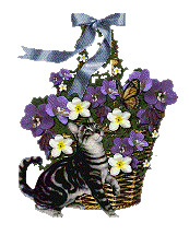 The Site Fights Blooming Baskets