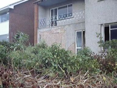 The Front through the Jungle!