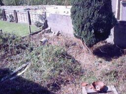 Left Hand Corner of the Back Garden