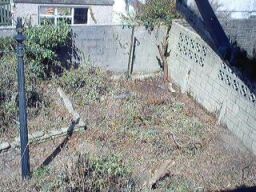 Right Hand Corner of the Back Garden