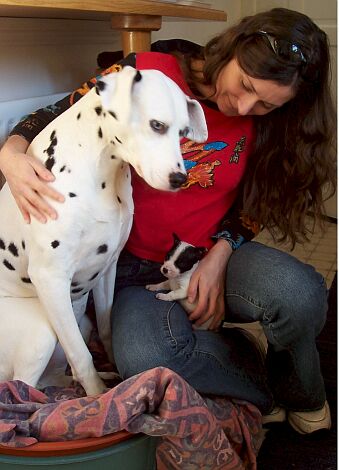 Me with Saffy & Maddy