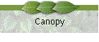 Canopy