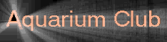 To win awards for you own websites apply at http://www.awardz.tk , Here Are Some Of The Awards Won By Our Website If you like fish then this fish site is for you, fish keeping to fish catching is disscussed in deep details .TO GET IN TOUCH EMAIL TO THE GROUP OWNER AT THE ADDRESS BELOW.