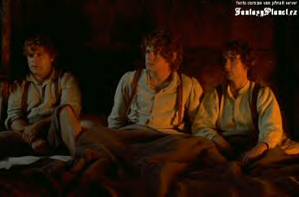 Sam, Pippin & Merry in bed in FOTR! Love this pic!!!