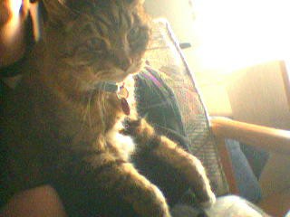 Mr. Felix, lalalalalala...lalalalala Mr. Felix