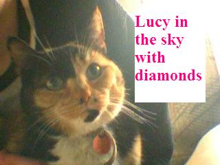 Who's a pretty girl?