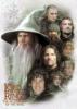 The Fellowship of the ring