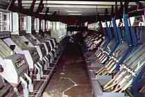 Brazilian Coffee Processing facilities