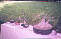 Junto con las demás