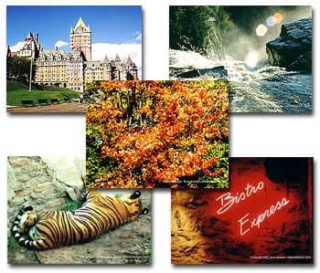 Computer Desktop Wallpaper Backgrounds