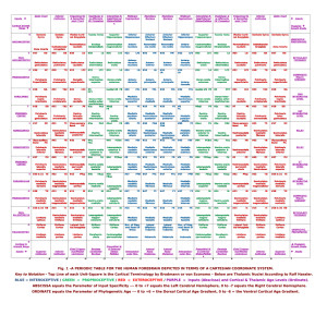 Master Dual Parameter Grid