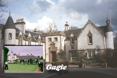 gagiecollage.jpg (28183 bytes)