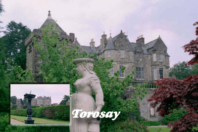 torocollage.jpg (34563 bytes)