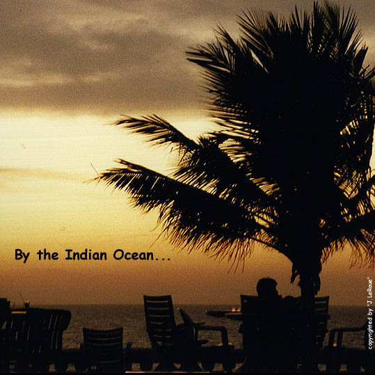 Tropical Sunset in Sri Lanka!