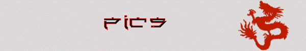 Pics Header