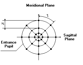 Regular concentric ray distribution