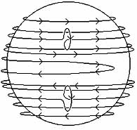 differential rotation